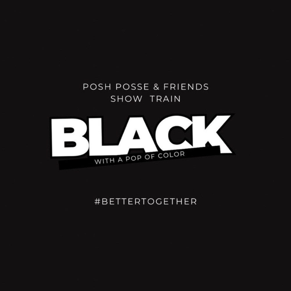 10/11/25 PPF BLACK AND TOUCH OF COLOR SHOW TRAIN- STYLZZ_4_U 6-8pm EST 🚂 SM-4X